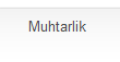 Muhtarlik 